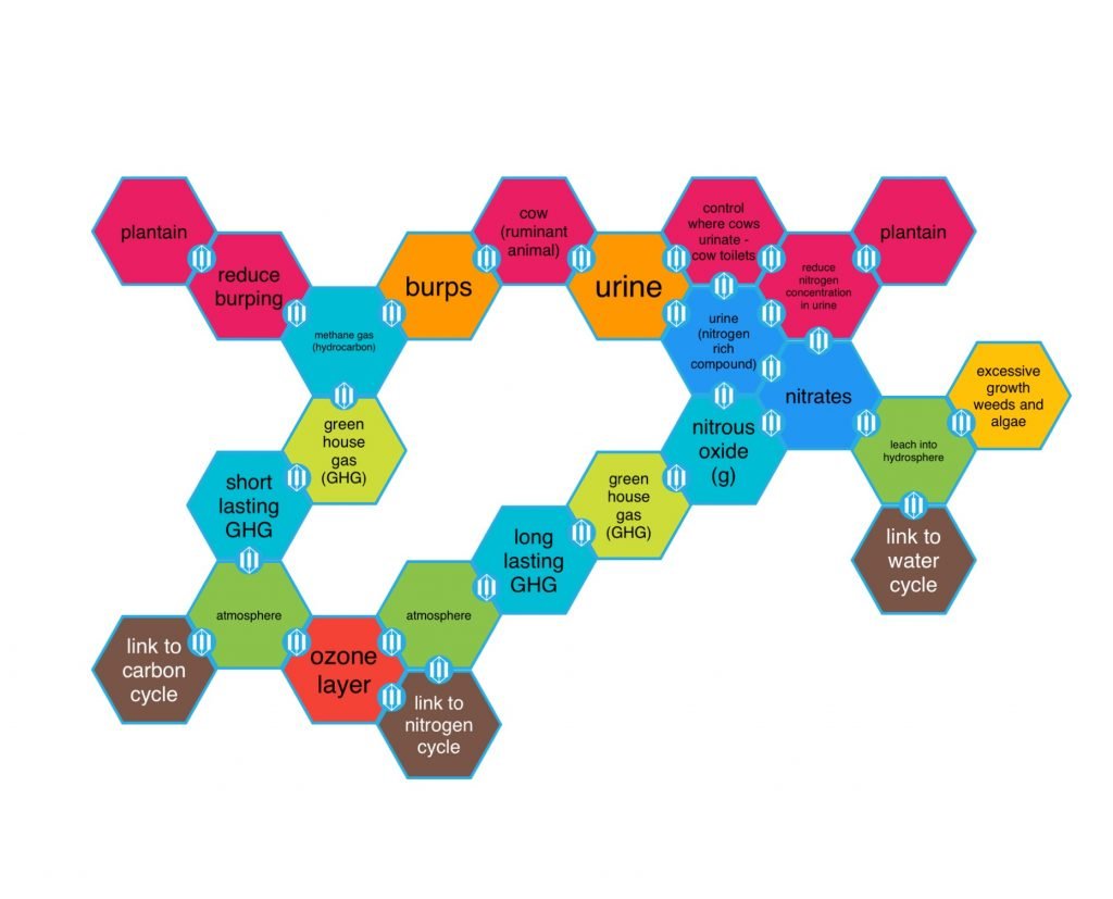 SOLO Taxonomy