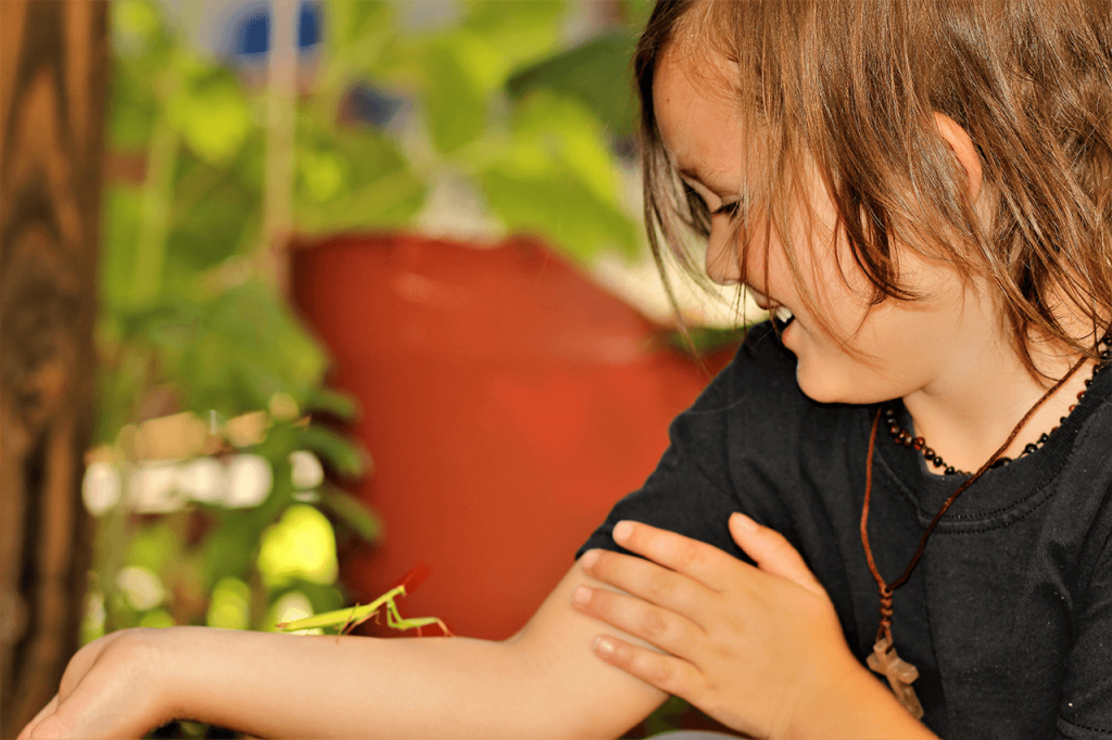 Extending children's learning